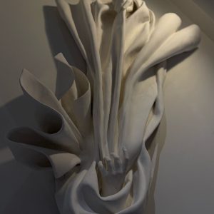 Rochelle Hajjar, NSW
